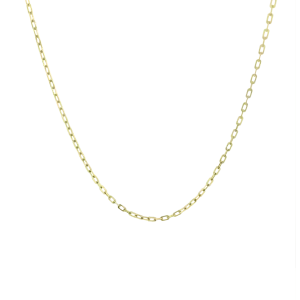 14K Gold Baby Paige Link Necklace