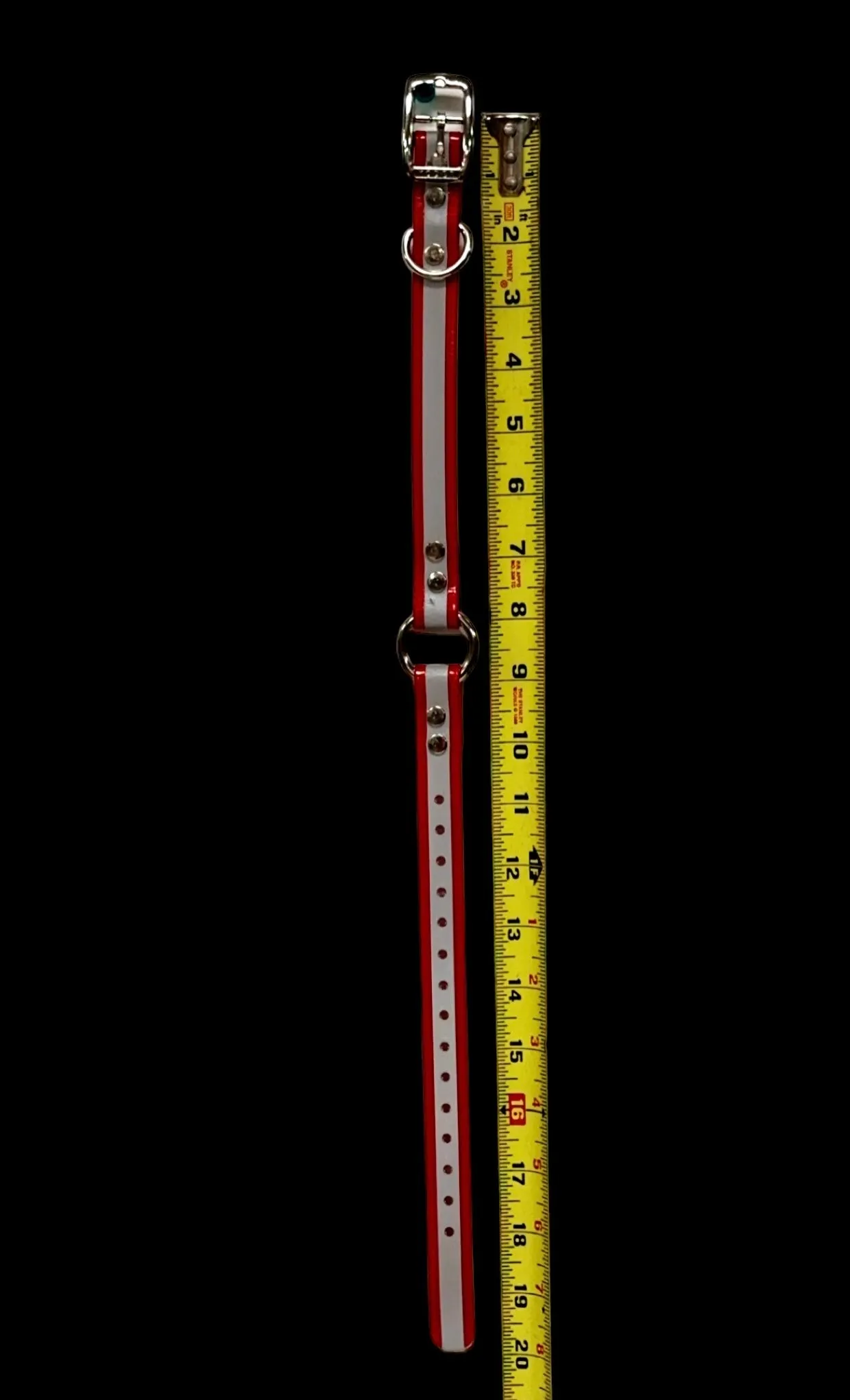 3/4" Reflective Dayglo Collar w Center Ring