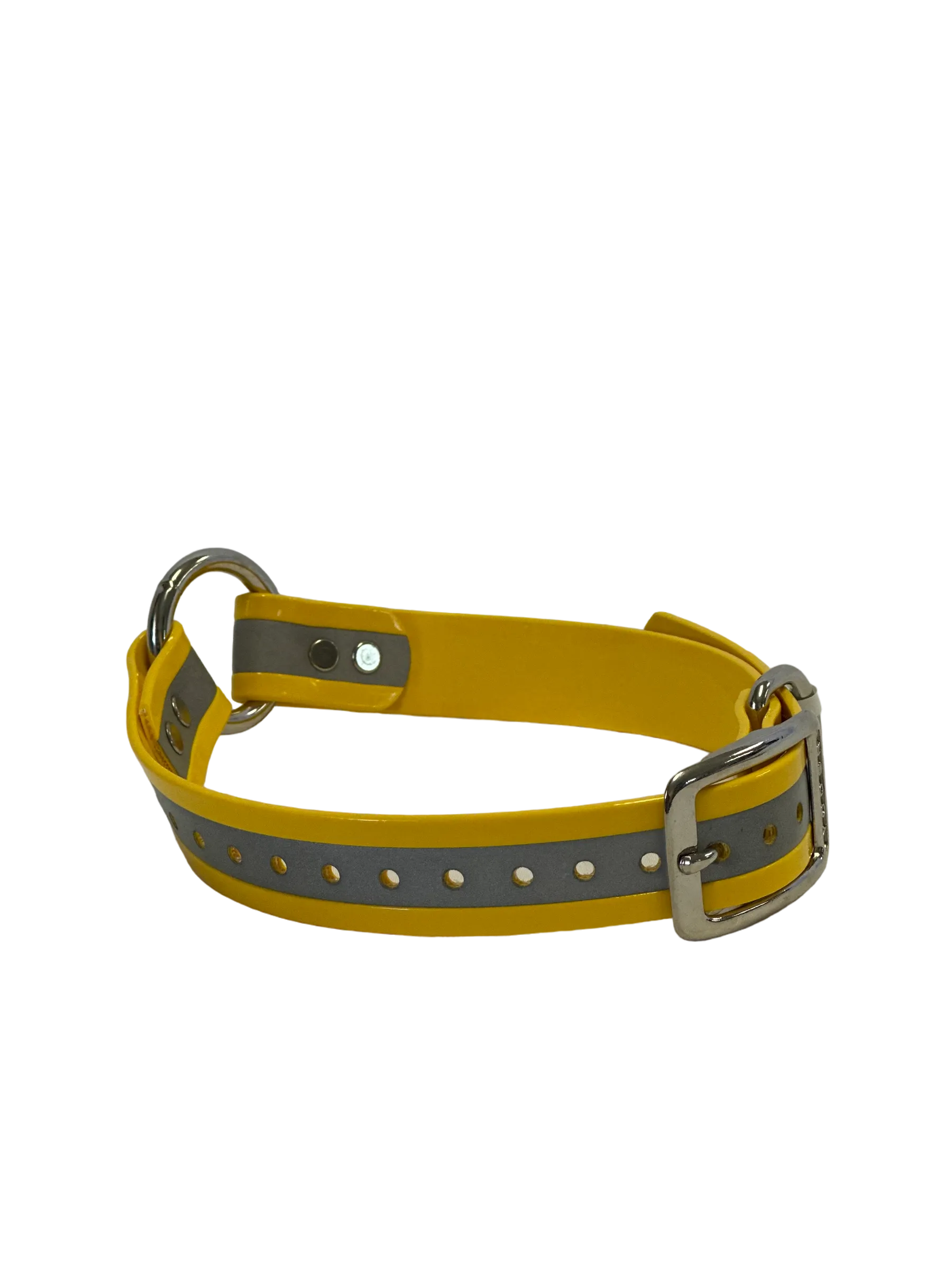 3/4" Reflective Dayglo Collar w Center Ring