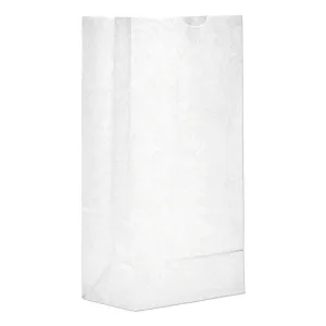 #6 White Paper Bag - 6 Pound - (500 - 10,000 Count)