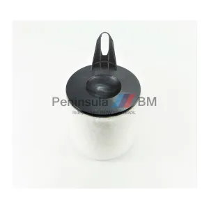 BMW Air Filter 4CYL E87 E90 E91 N46 N46N 13717532754