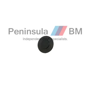 BMW Expanding Rivet E36 Genuine 51488122437