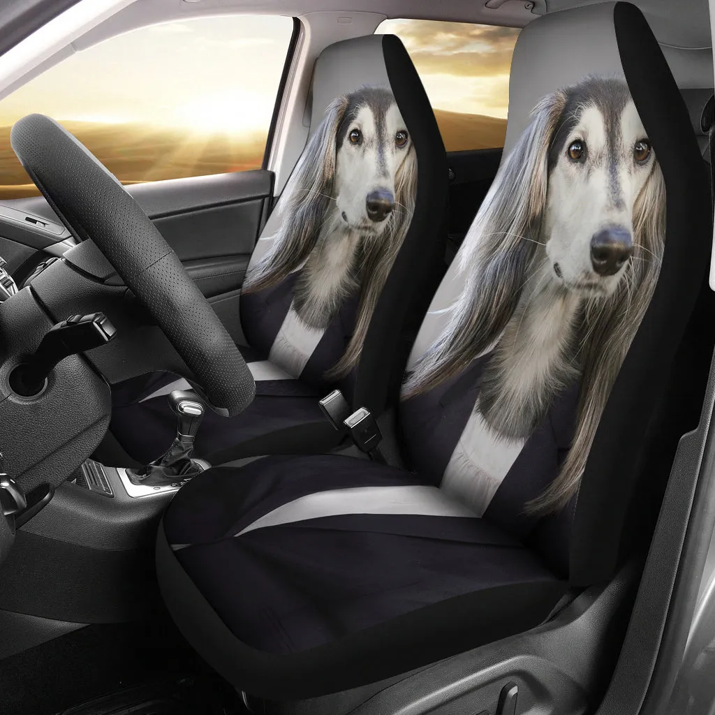 Business dog
