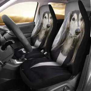 Business dog