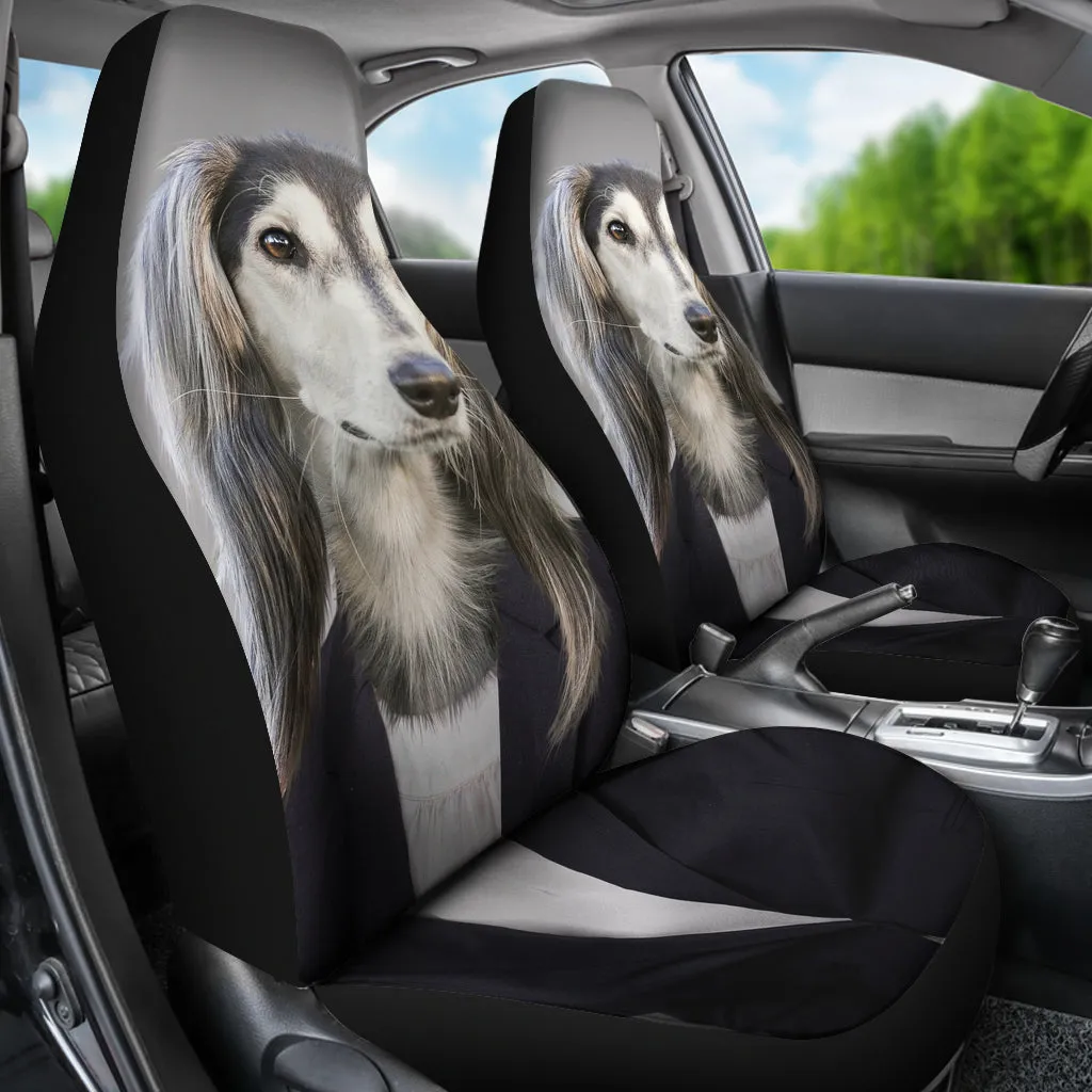 Business dog