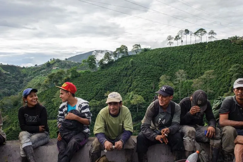 Colombia AA  Excelso Santa Barbara Estate. Available at Continental, NJ & Salisbury, MA.
