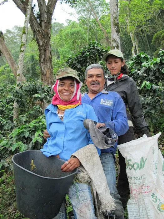 Colombia AA  Excelso Santa Barbara Estate. Available at Continental, NJ & Salisbury, MA.