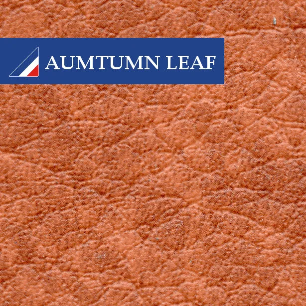CONVERTIBLE HOOD ROLL COVER