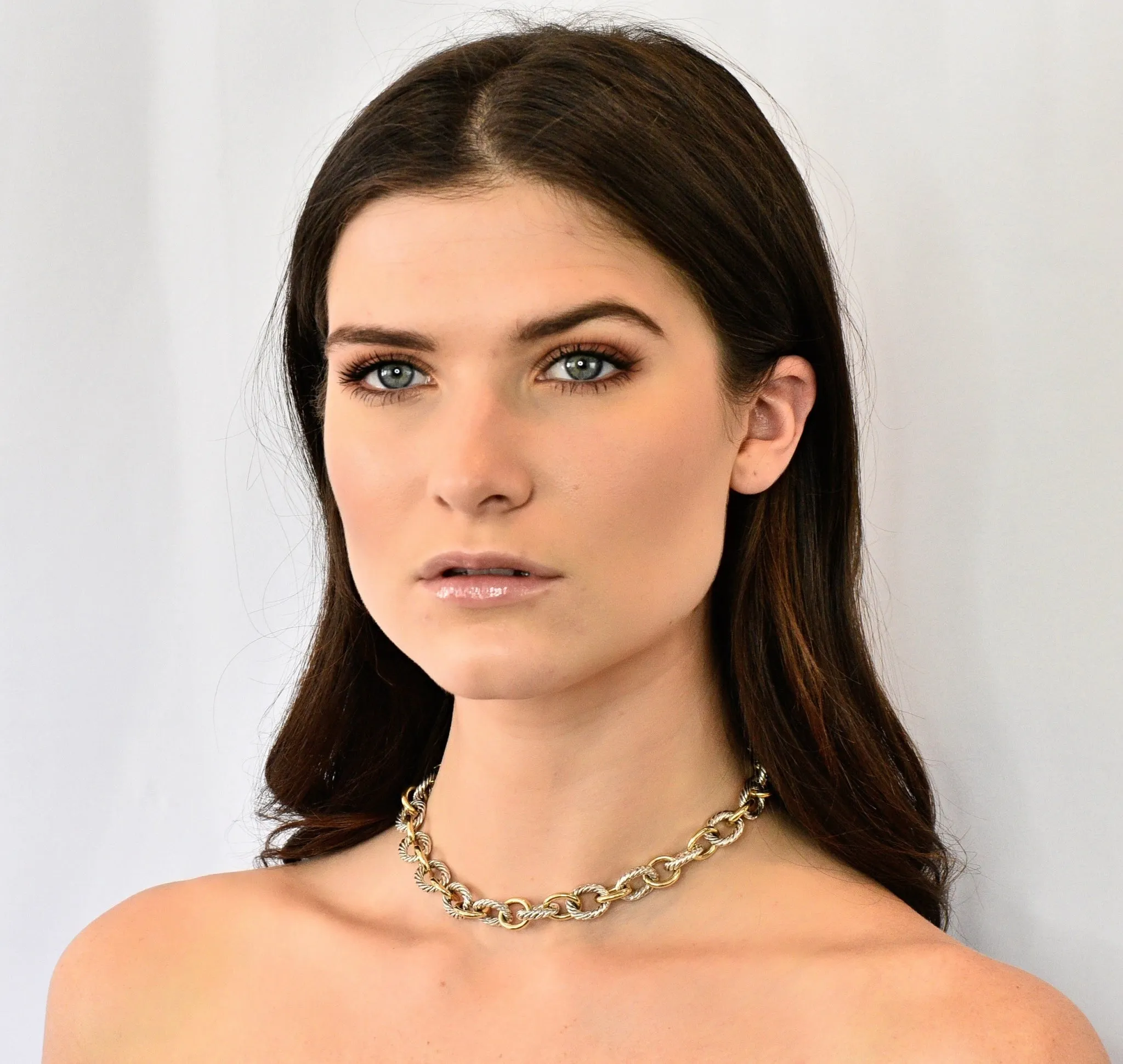 David Yurman Sterling Silver 18 Karat Two-Tone Gold Cable Link Necklace