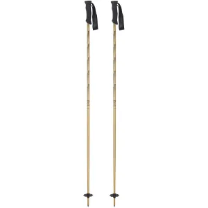 Firmo Ski Poles