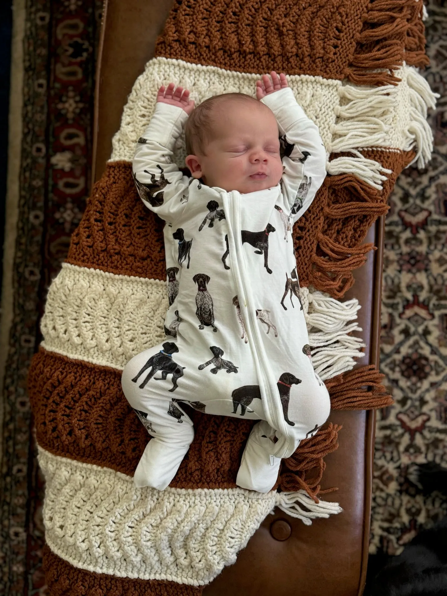 German Shorthaired Pointers - Convertible Zip Footies