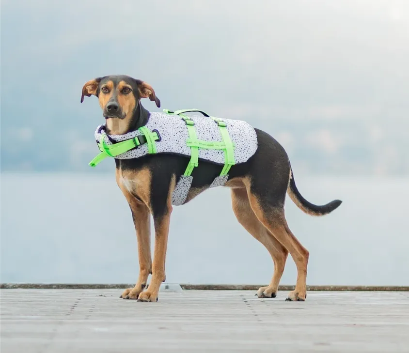 JACKSON DOG SWIM JACKET