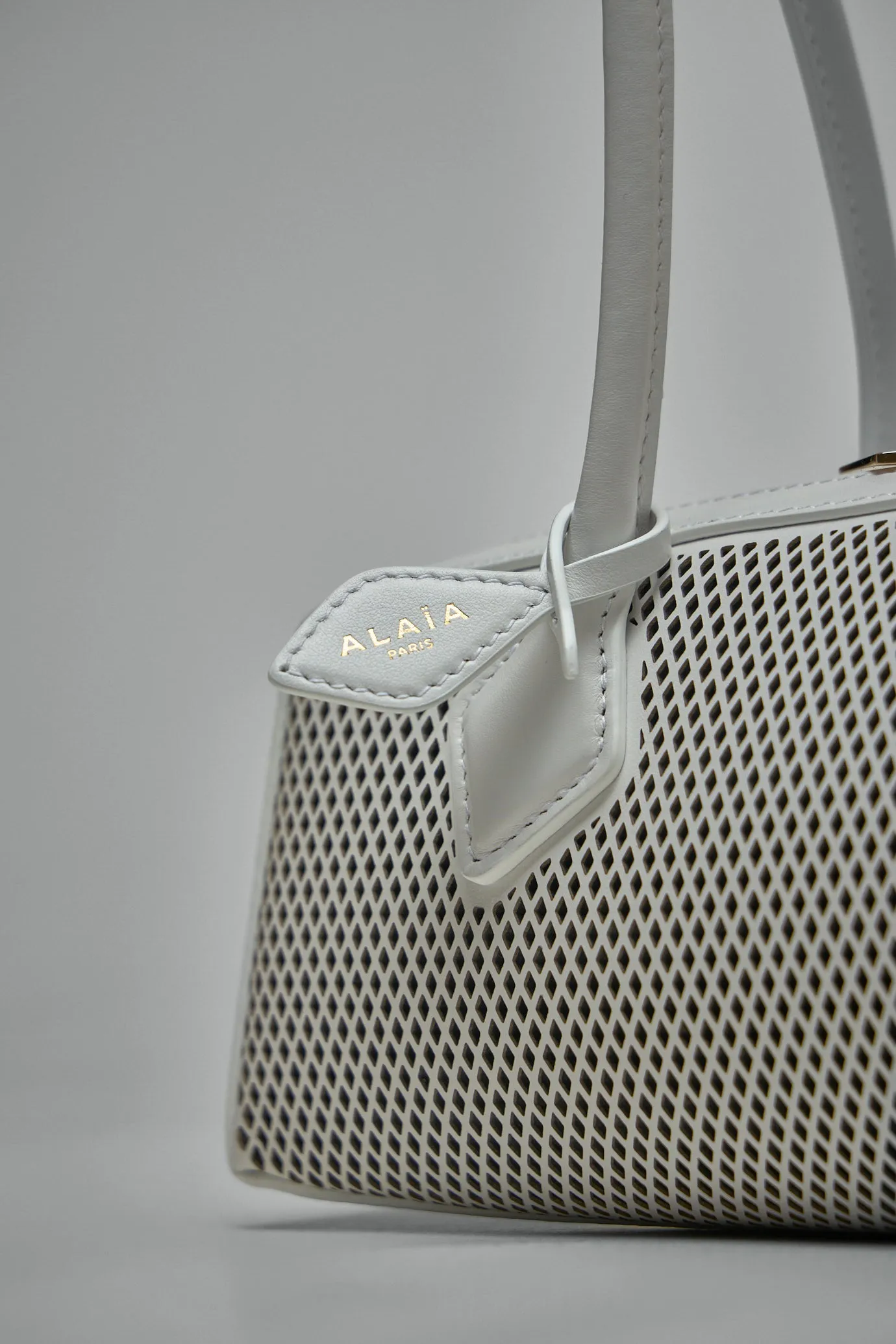 Le Teckel Medium Bag in Perforated Leather
