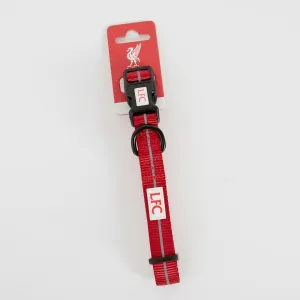 LFC Hi-Vis Dog Collar