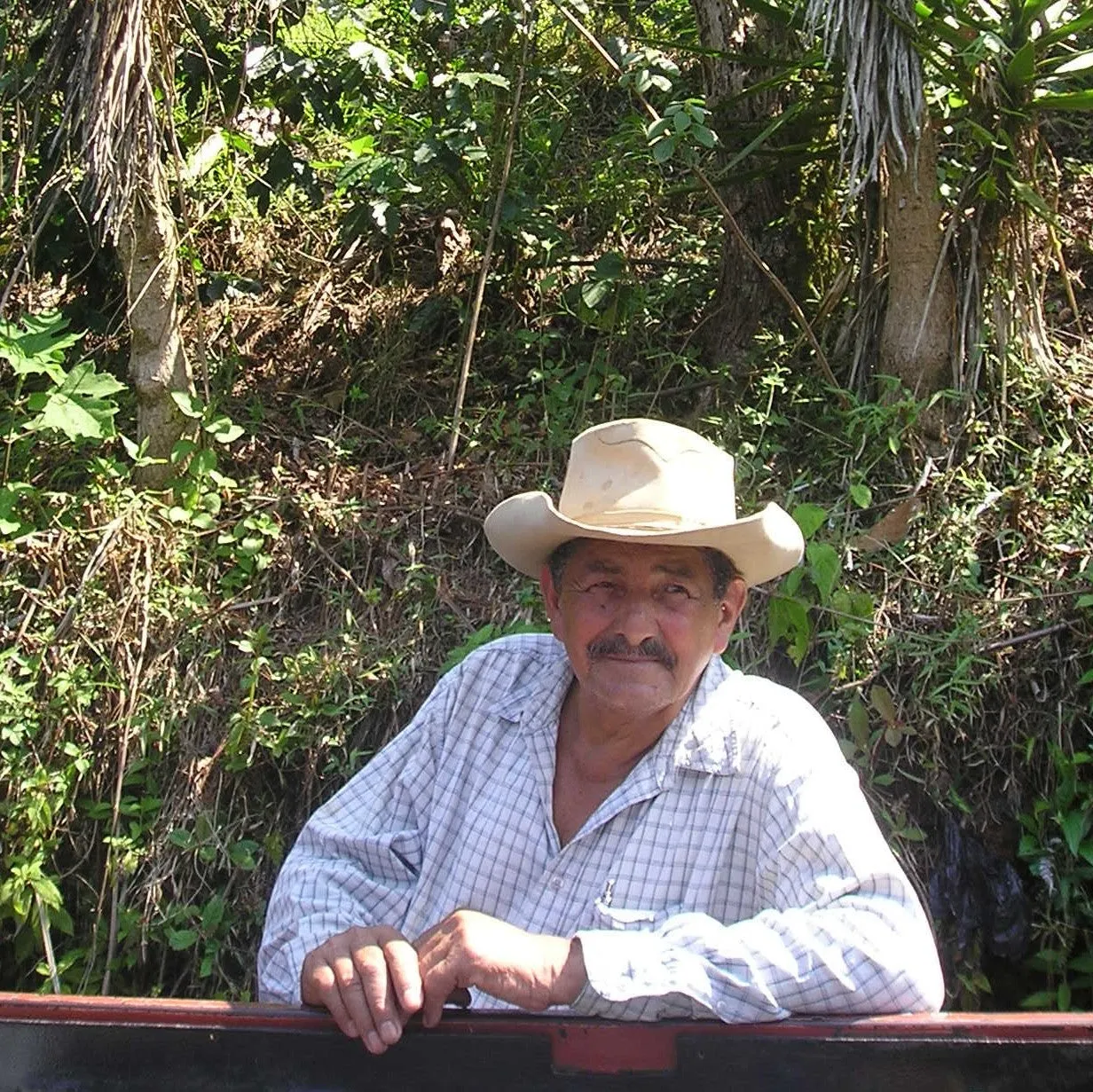 Maximo's French Roast Coffee (dark) - Fundraiser | Robust and Smoky, Nutty, Extreme