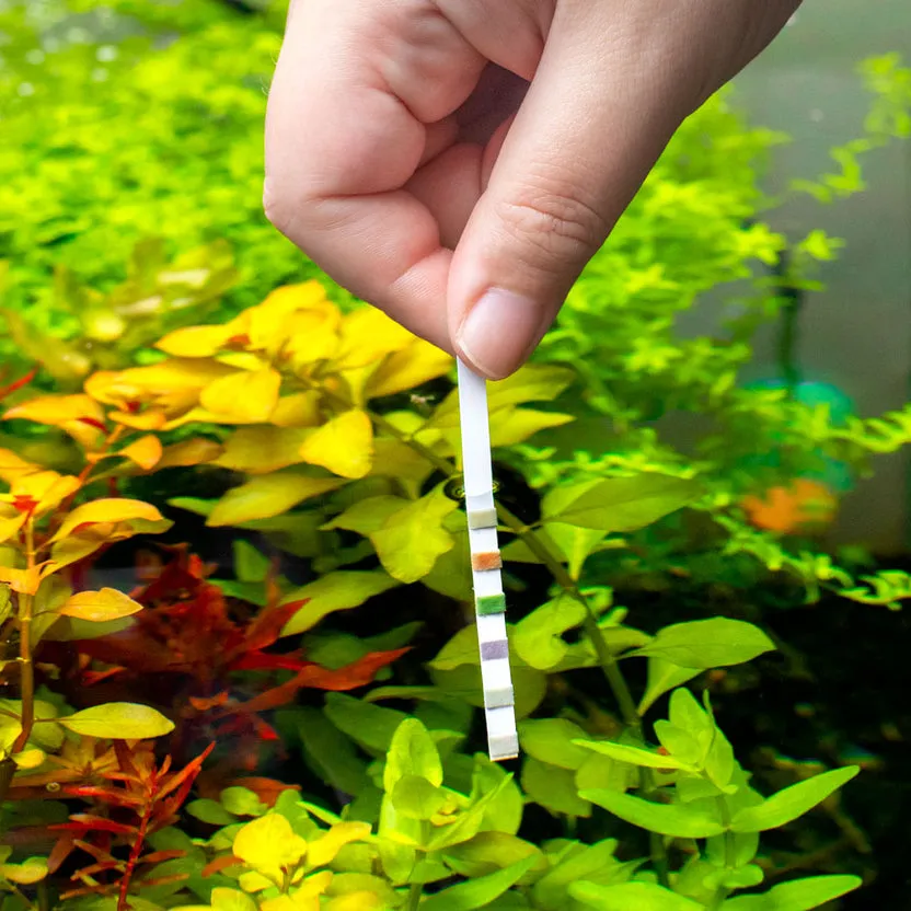 Multi-Test Strips