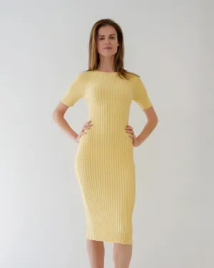 nina dress