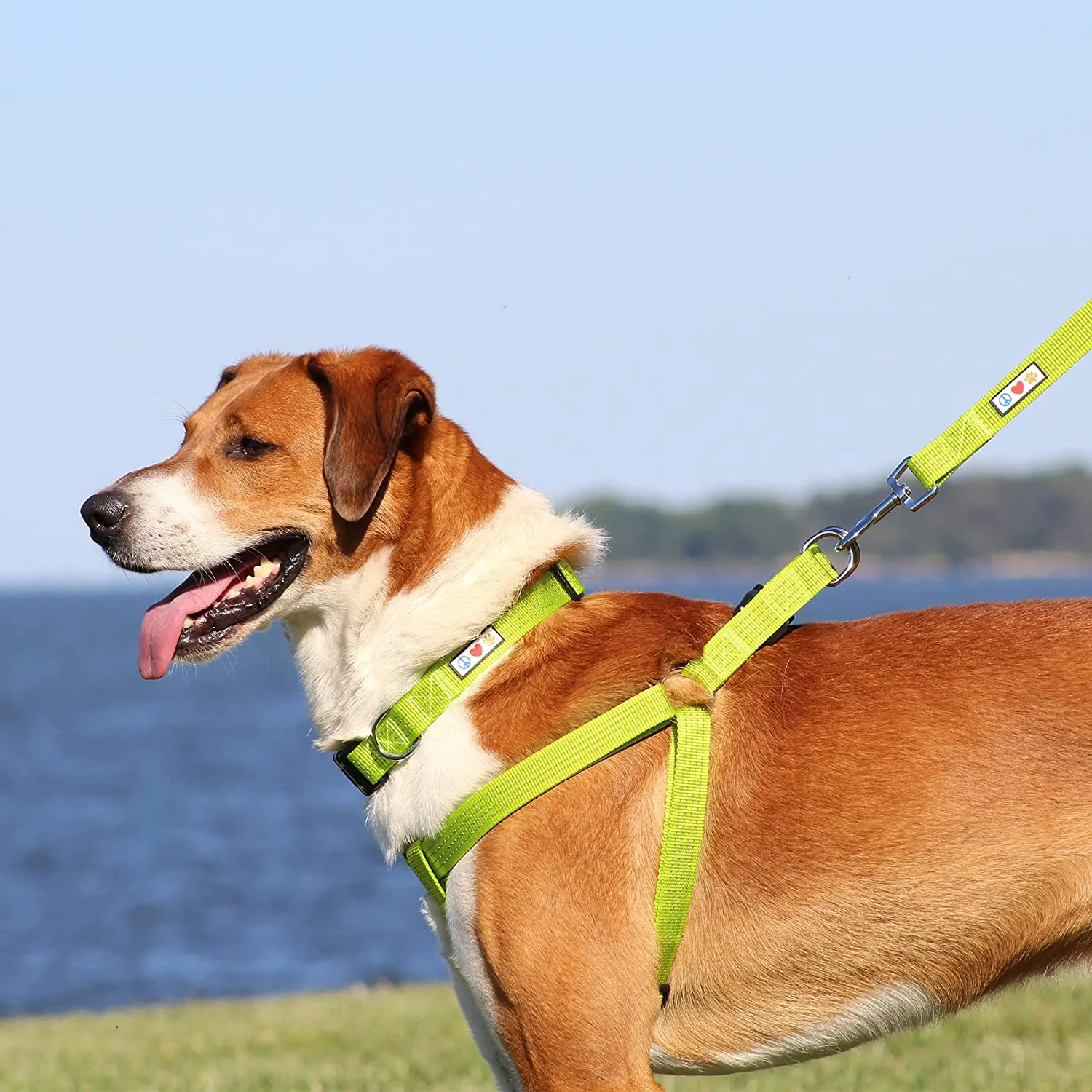 Pawtitas Pet Soft Adjustable Step-in Reflective Puppy / Dog Harness Small Pink