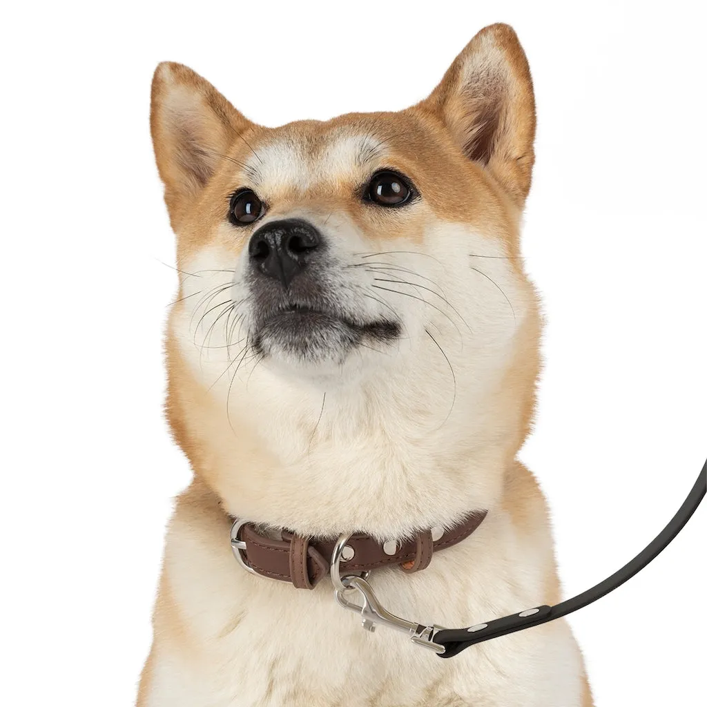 Pendleton Dog Leash
