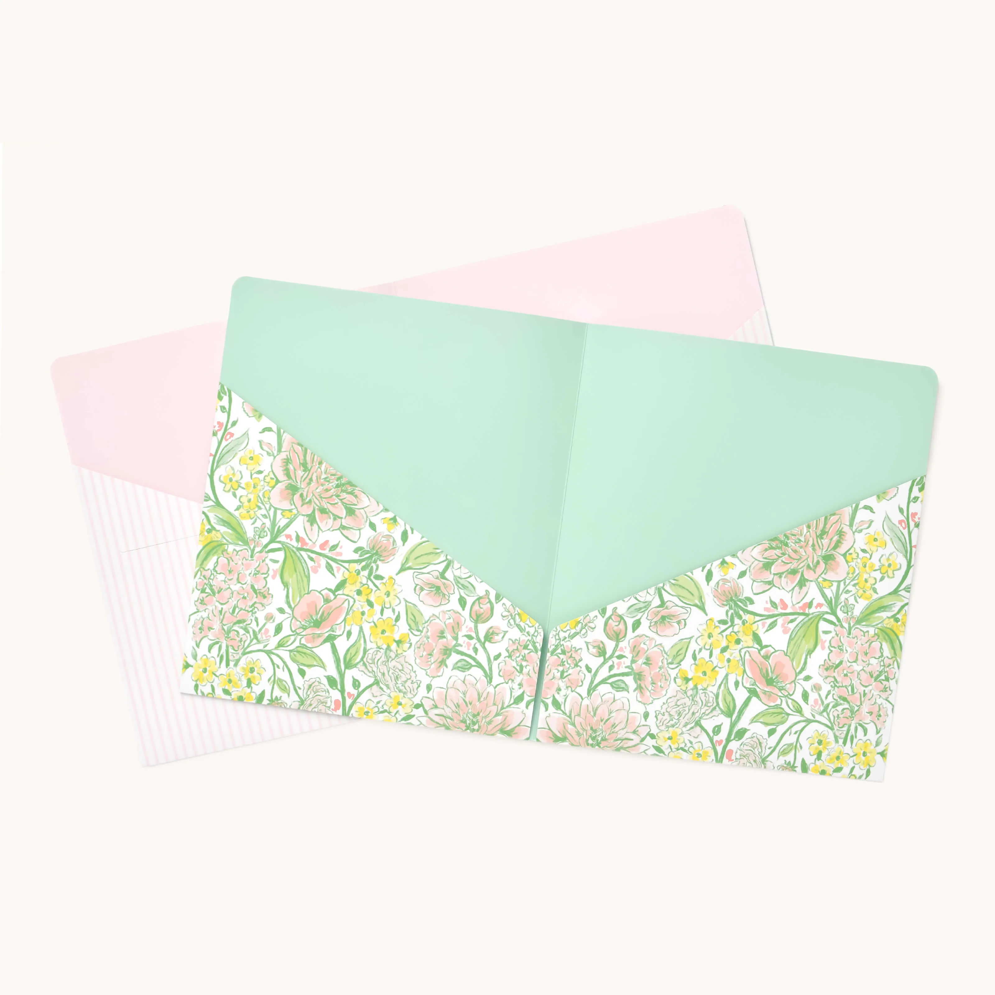 Pocket Folder Set - Butterfly Garden & Pink Pinstripe