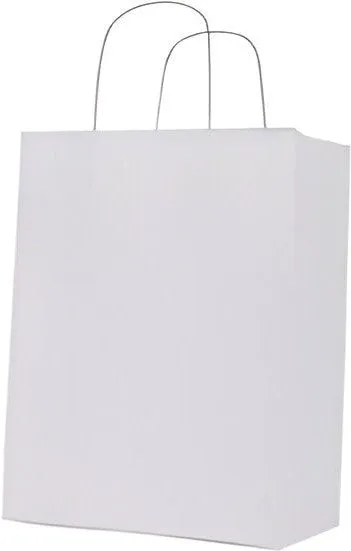 RiteEarth - 8" x 4.5" x 10" White Paper Twist Handle Bag, 250/Cs , 42Cs/Sk - PT08410W