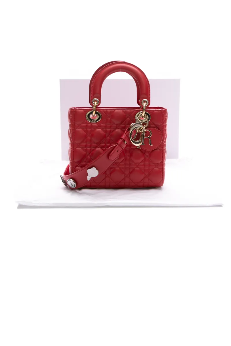 Small Lady Dior My ABCDior Bag