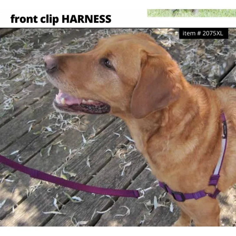 Smoochy Poochy Front Clip Dog Harness