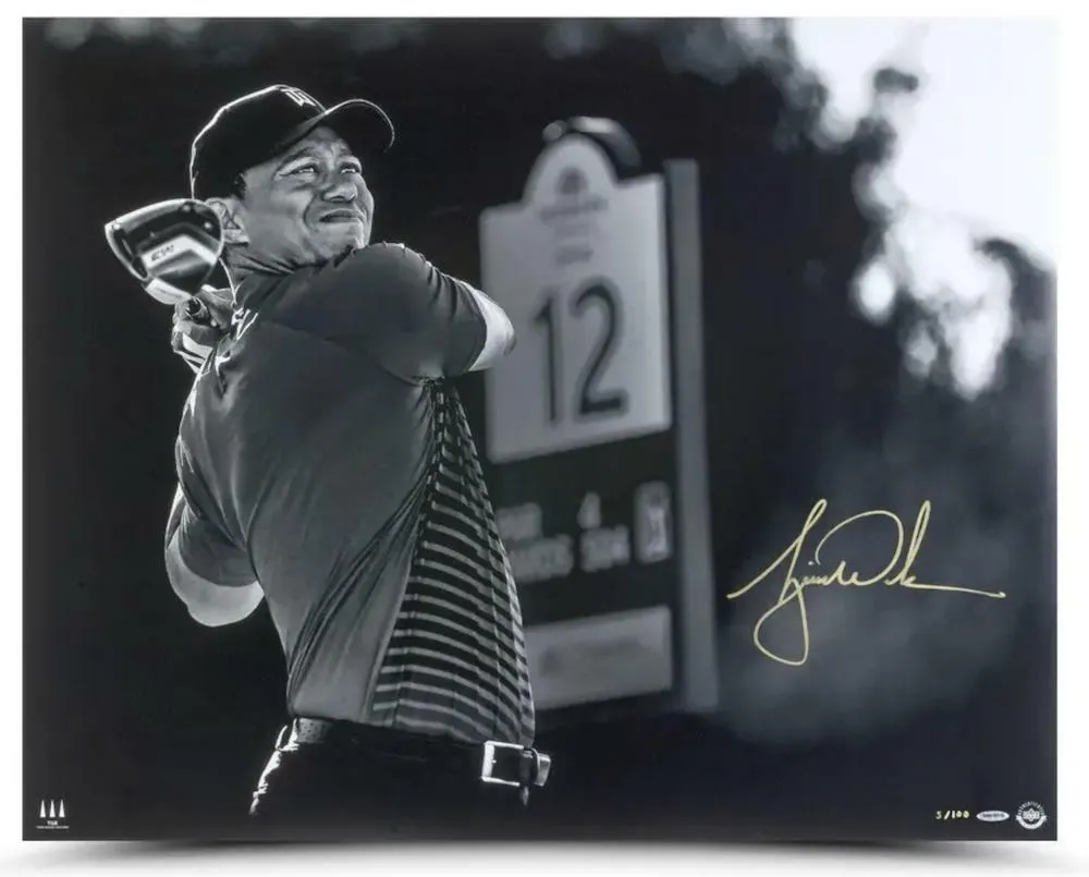 TIGER WOODS Autographed "Gold Drive" 30" x 24" Photograph UDA LE 100