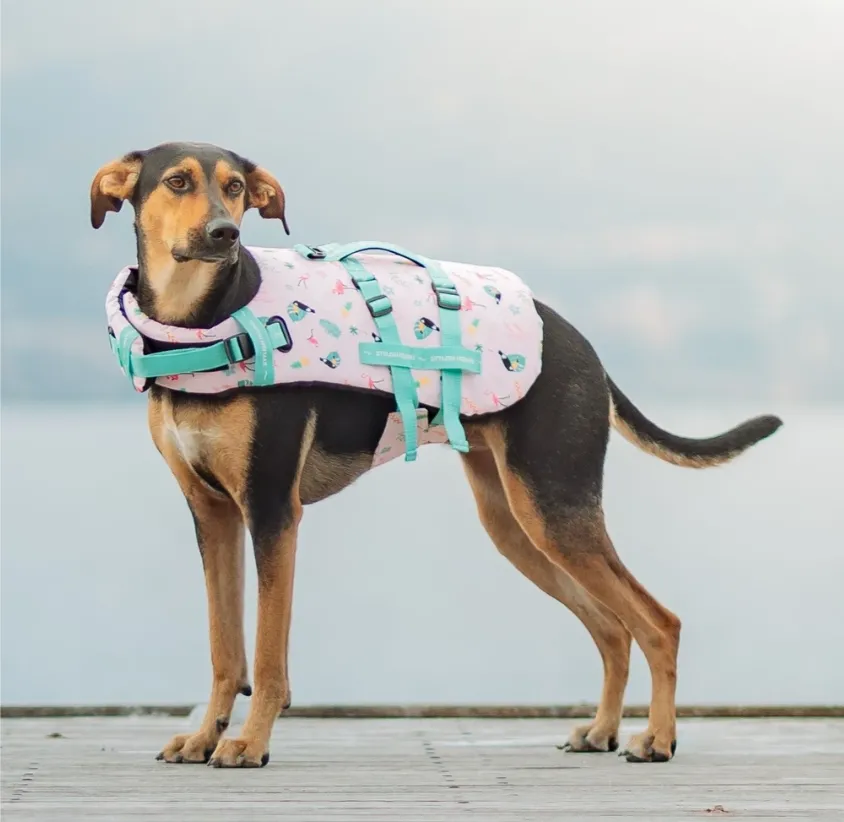 TROPICAL DOG SWIM JACKET