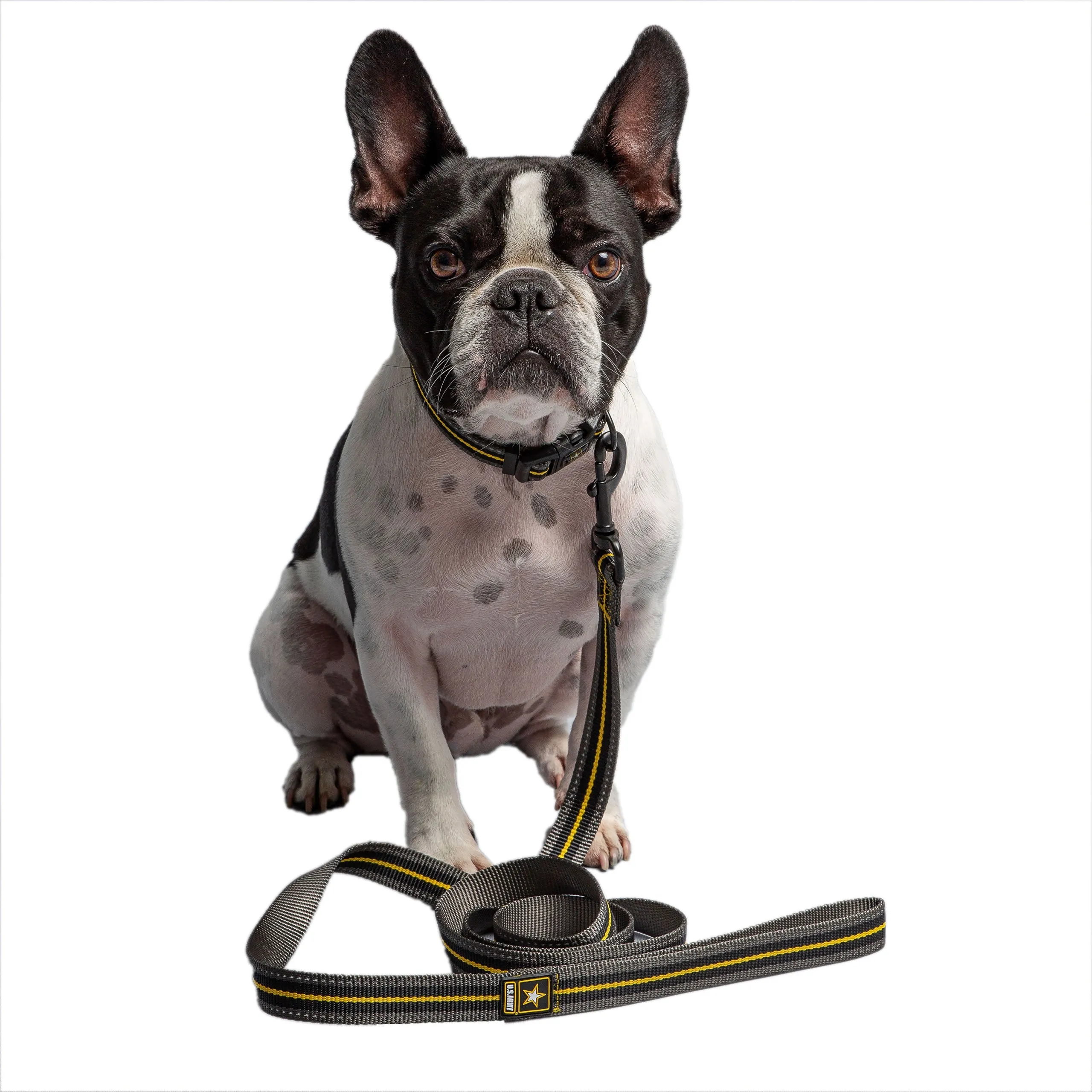 U.S. Army Dog Leash - Dark Camo