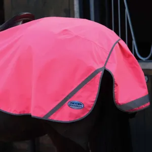Weatherbeeta 300D Reflective Exercise Sheet Pink