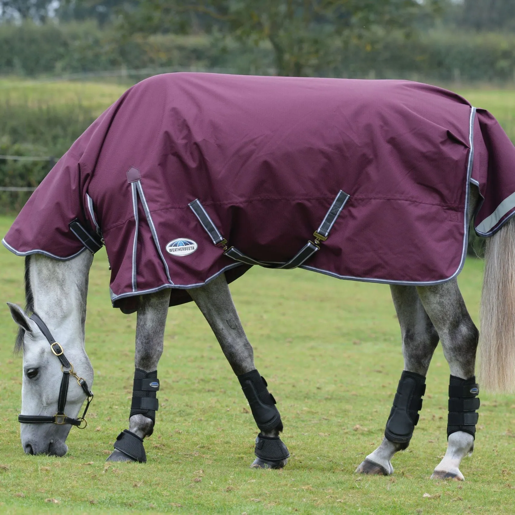 Weatherbeeta ComFiTec Plus Dynamic II Combo Medium/Lite 100g Maroon/Grey/White